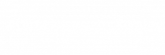 Logo directeursdefiliales.fr